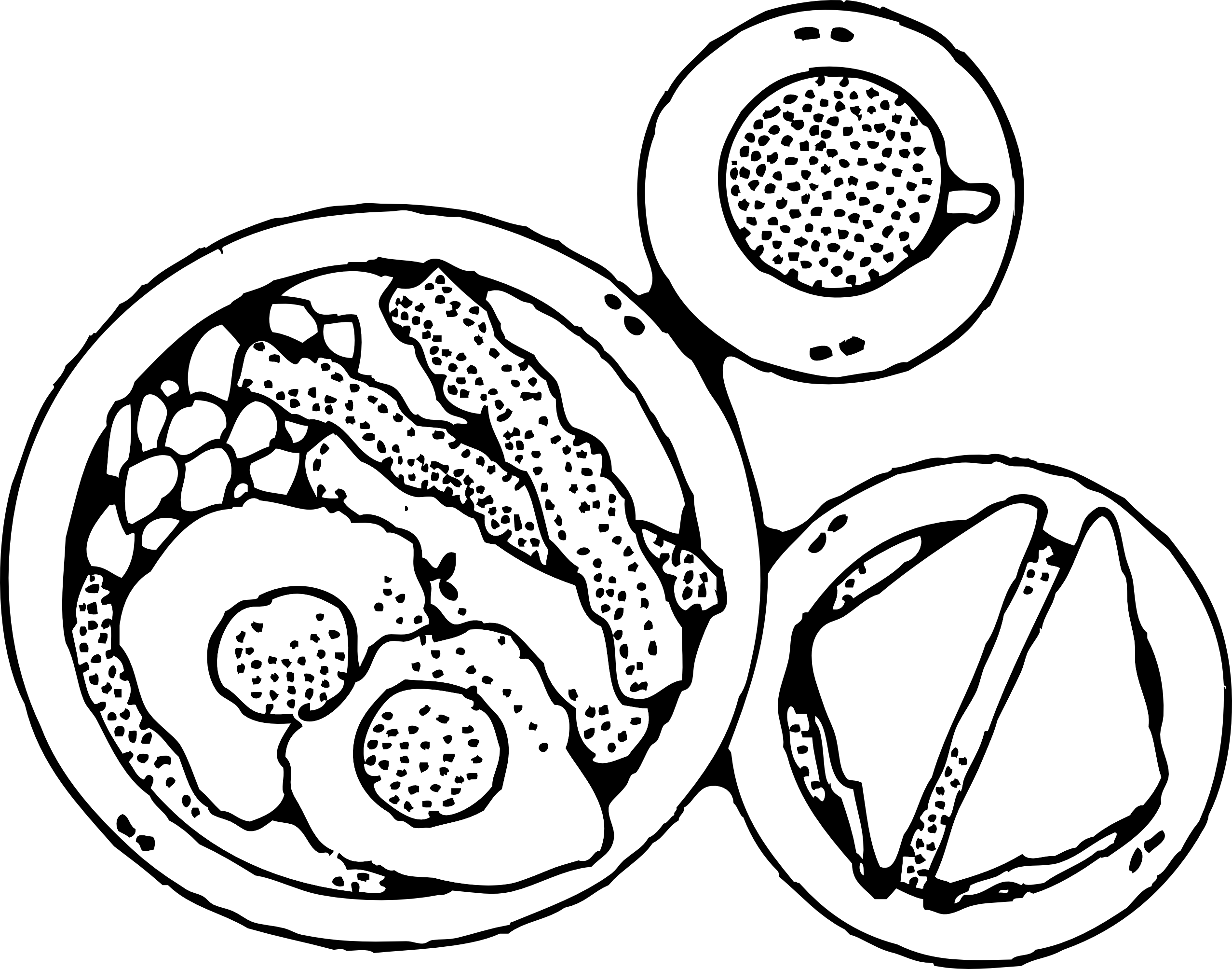 Image Via PixieBot - Image Scraper