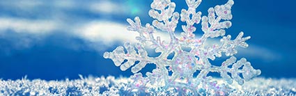 Image Via PixieBot - Image Scraper