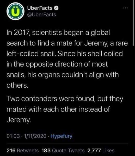 Image Via PixieBot - Image Scraper