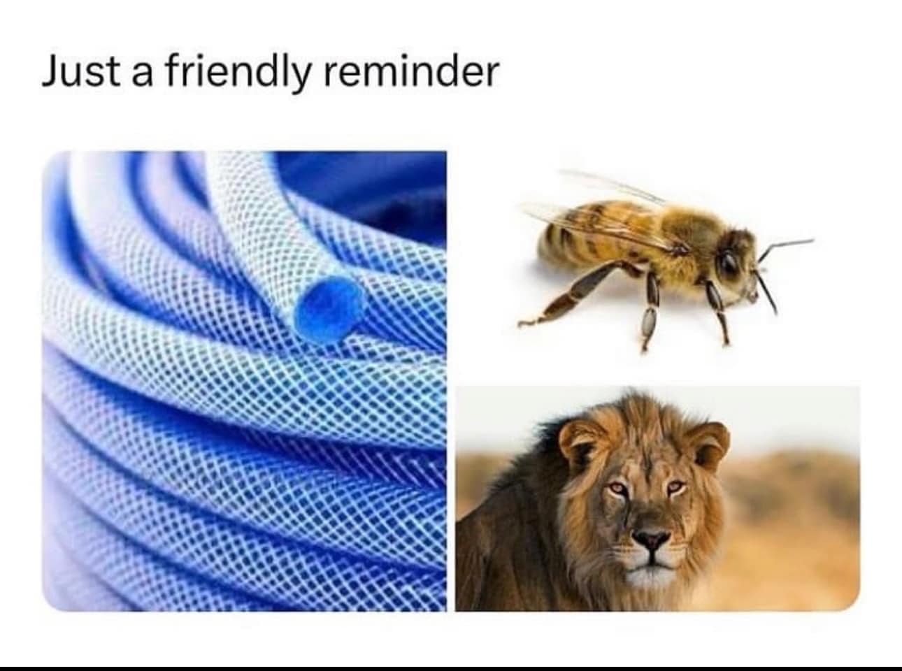 Image Via PixieBot - Image Scraper