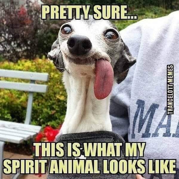 Image Via PixieBot - Image Scraper