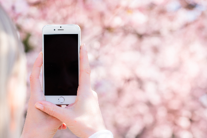 Image Via PixieBot - Image Scraper