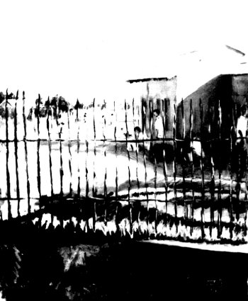 Image Via PixieBot - Image Scraper