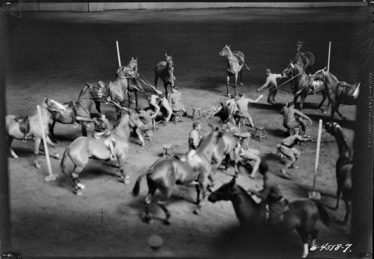 Image Via PixieBot - Image Scraper