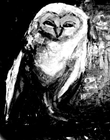 Image Via PixieBot - Image Scraper