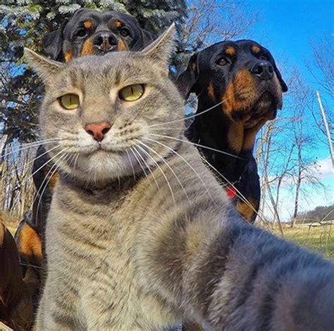 Image Via PixieBot - Image Scraper