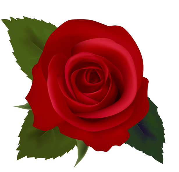 Image Via PixieBot - Image Scraper