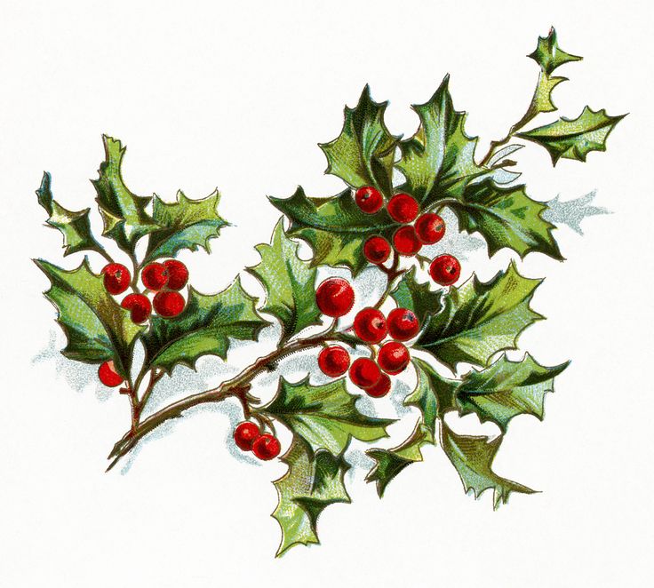 Image Via PixieBot - Image Scraper
