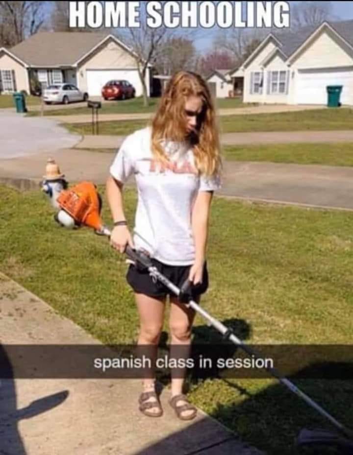 Images Via PixieBot - Images Scraper