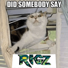 Images Via PixieBot - Images Scraper