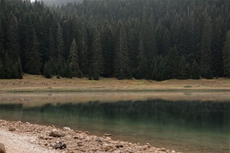 Image Via PixieBot - Image Scraper