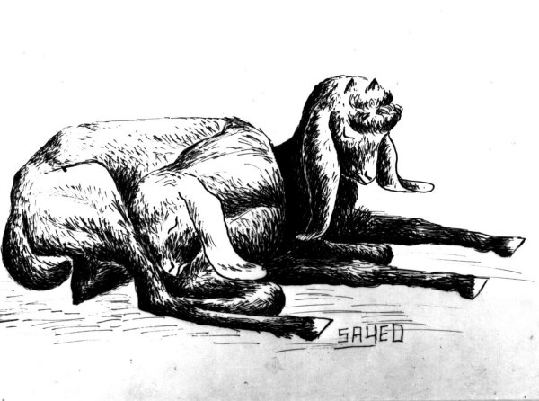 Image Via PixieBot - Image Scraper