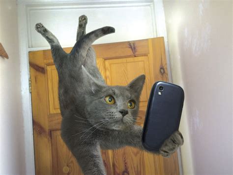 Image Via PixieBot - Image Scraper