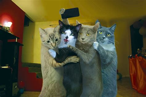 Image Via PixieBot - Image Scraper